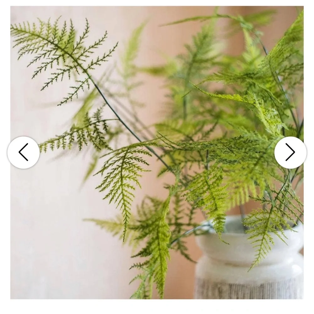 NWT Hearth&Hand Asparagus Fern Plant Stem 32